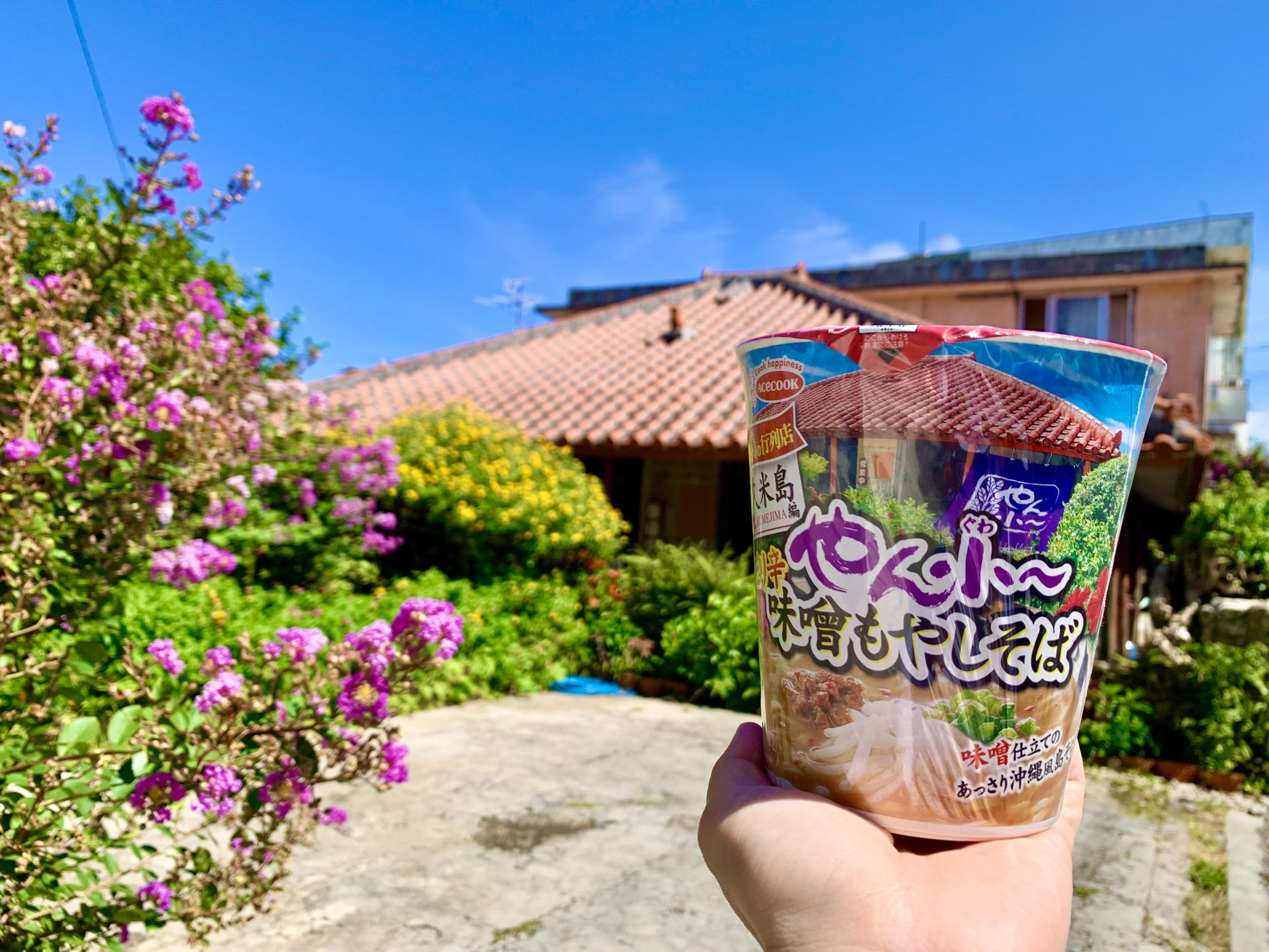 全国発売決定！もう食べた？やん小ピリ辛味噌もやしそばカップ麺